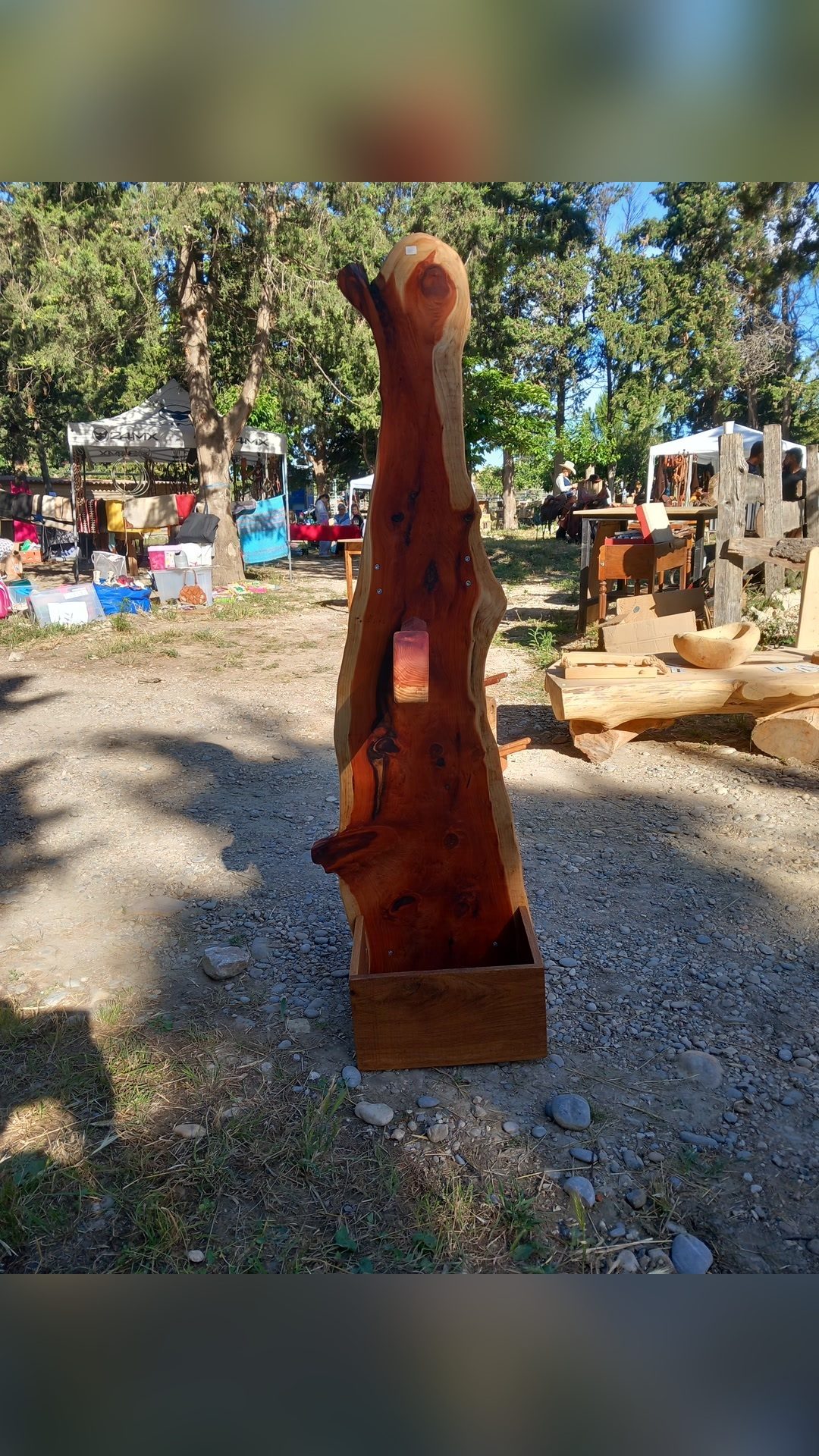 Porte selle diable, média 2