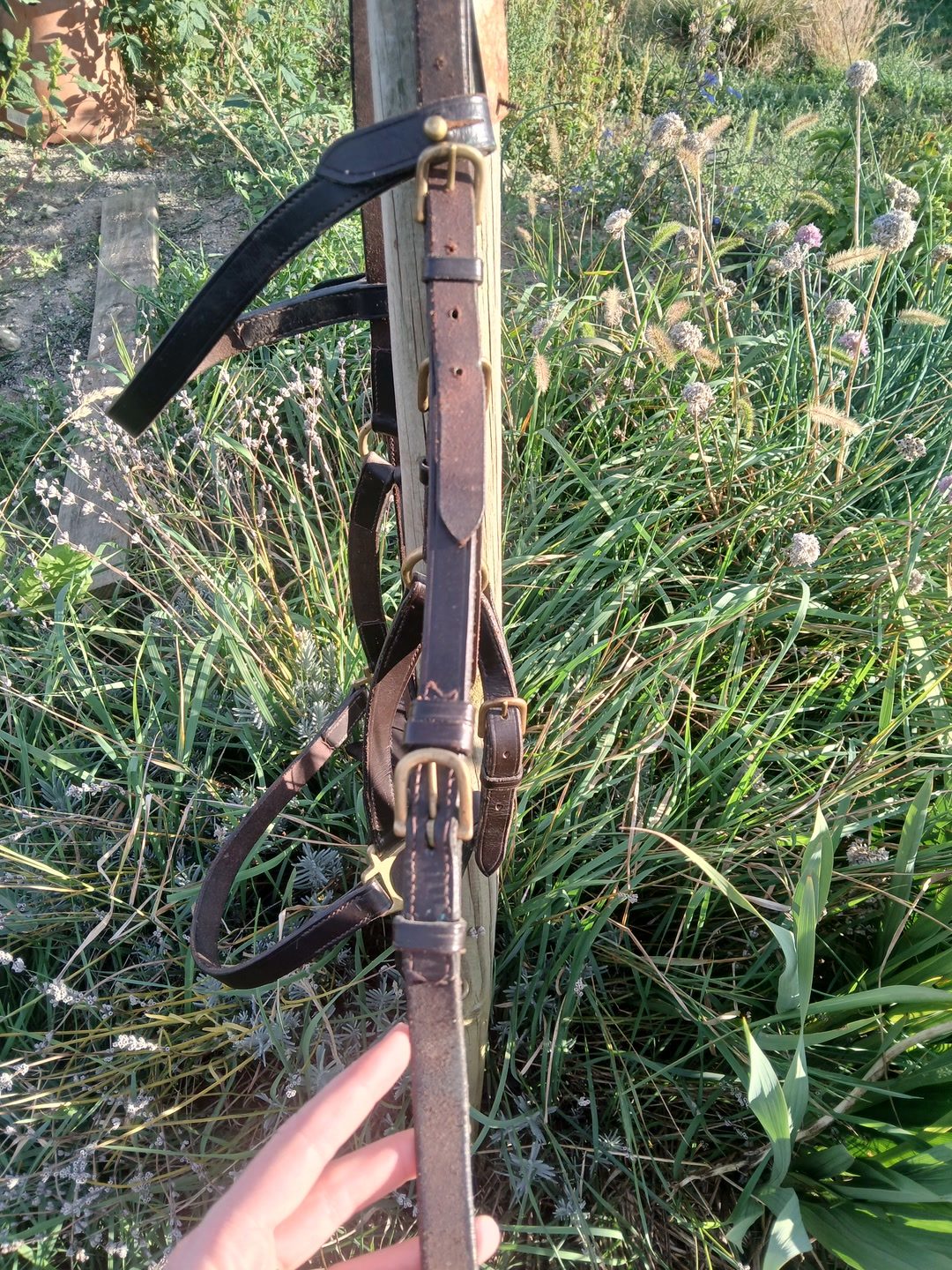 Bridon en cuir, média 4