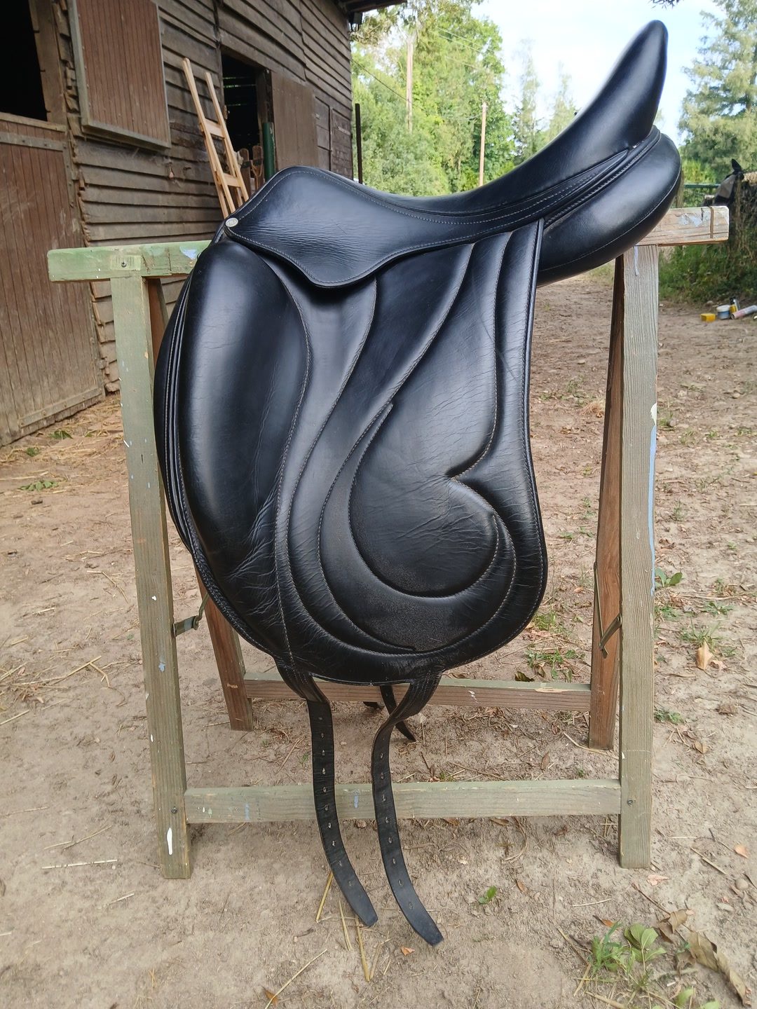 Selle de dressage Antares, média 5