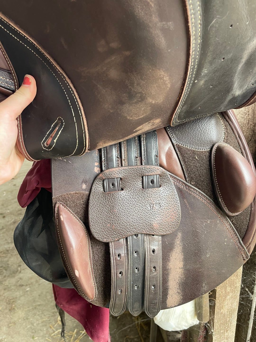 Selle d’équitation, média 3