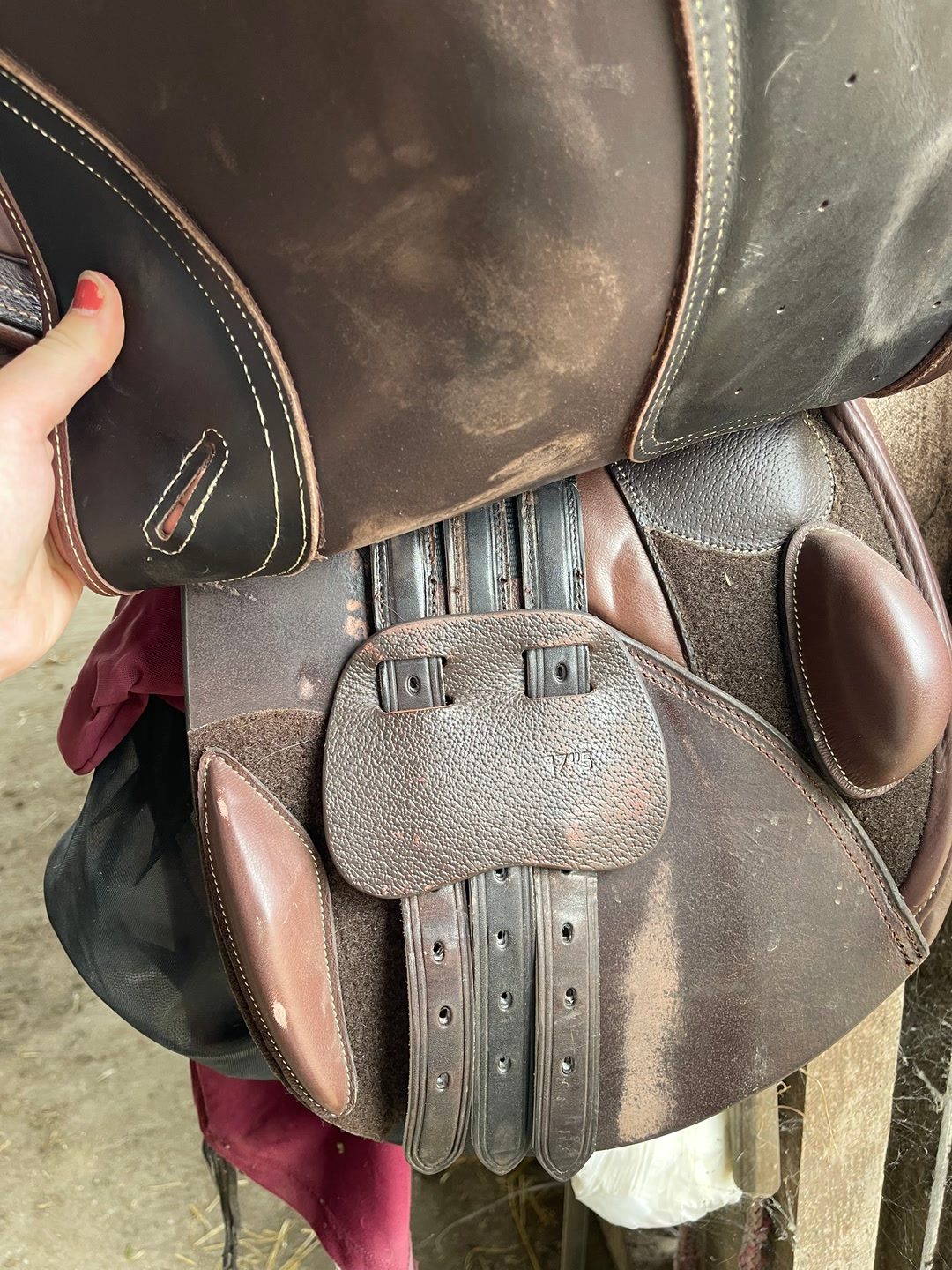 Selle d’équitation, média 4