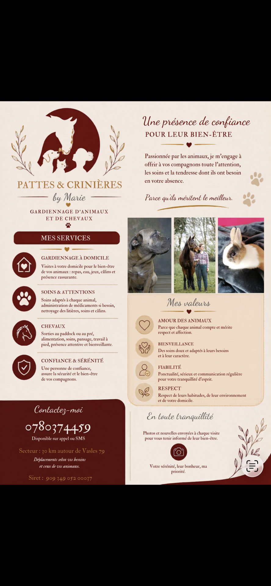 Pet sitter, cavalier soigneur, média 2
