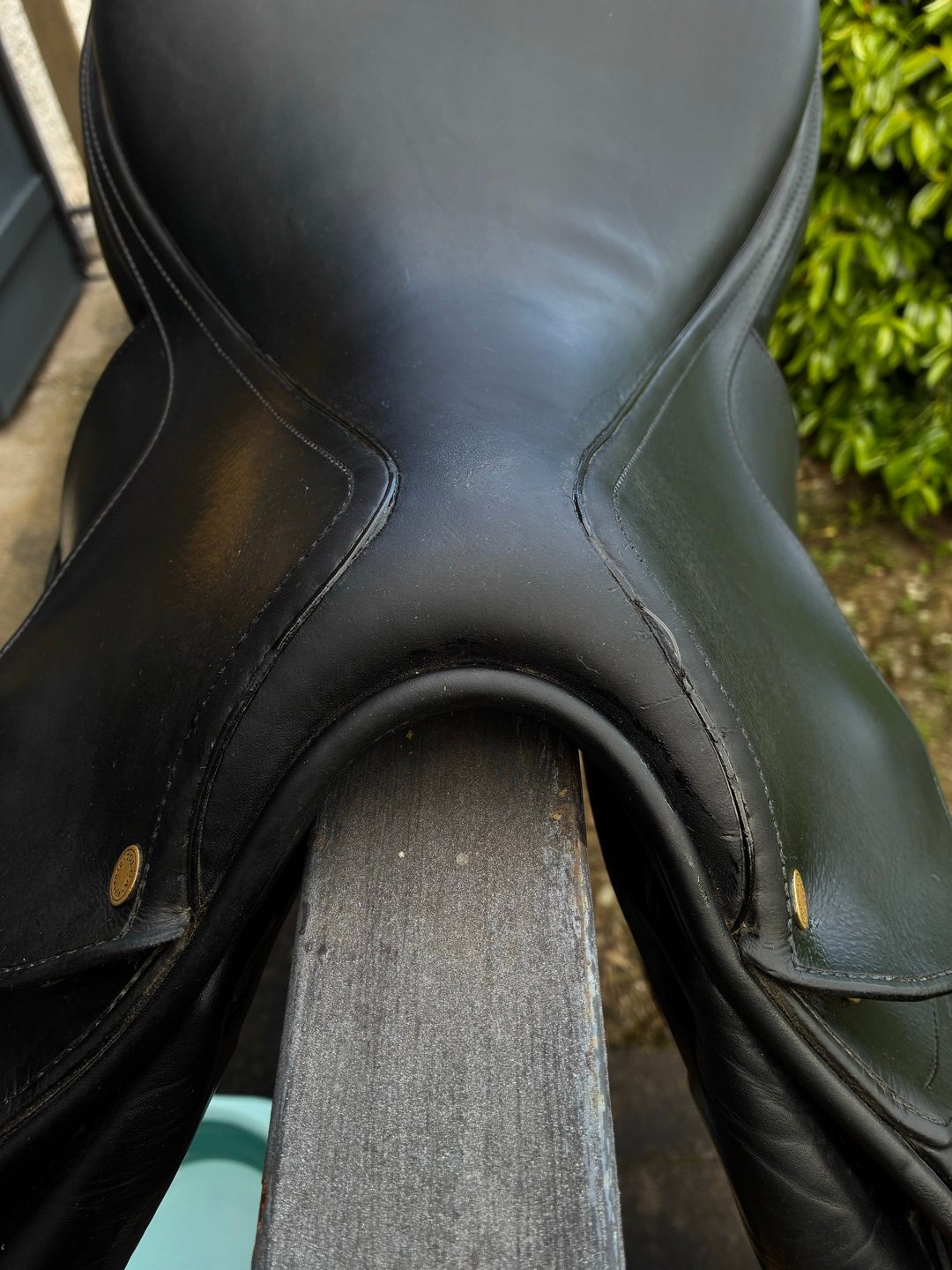 Selle Tolga, média 6