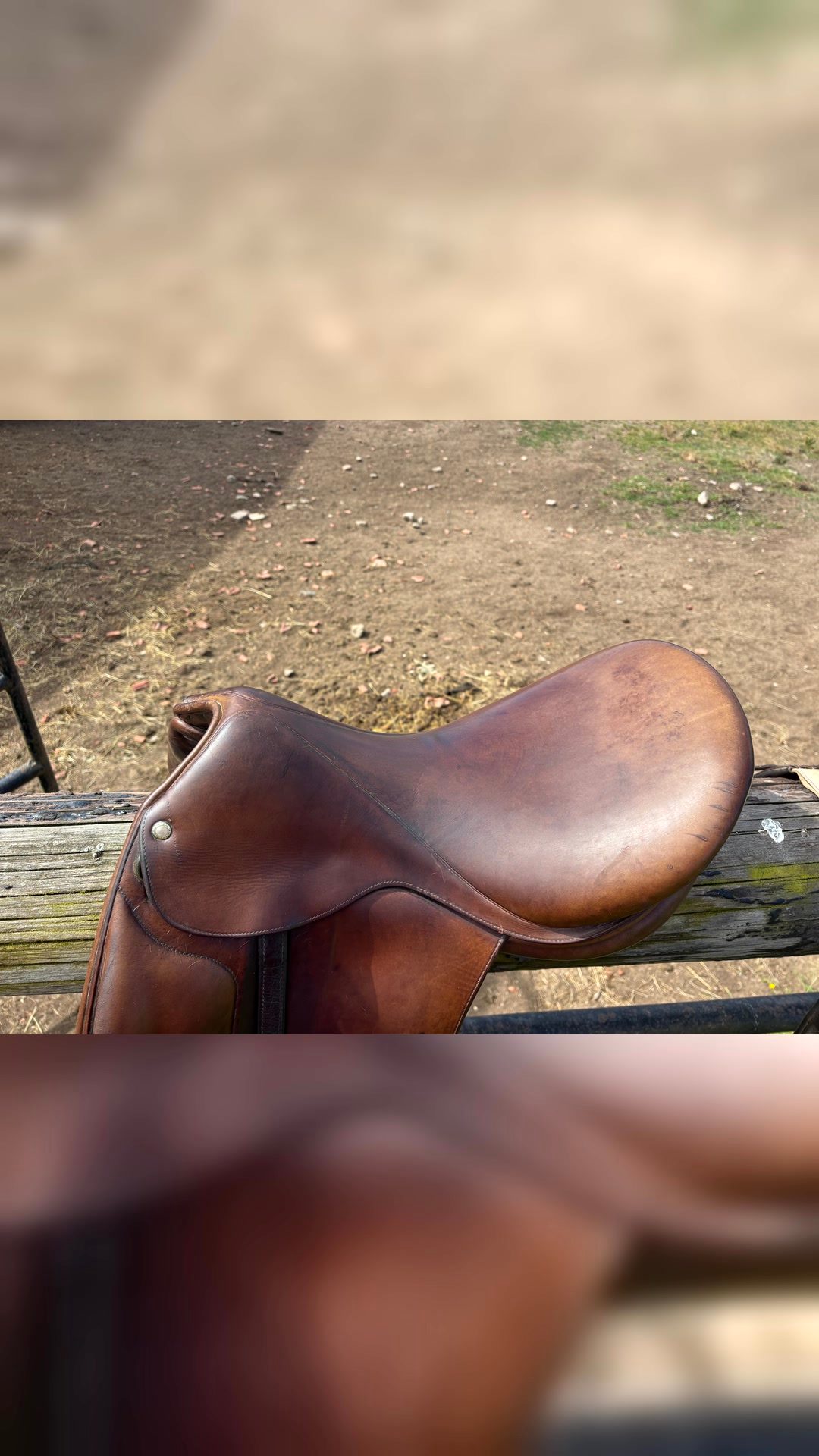 Selle de dressage, média 6