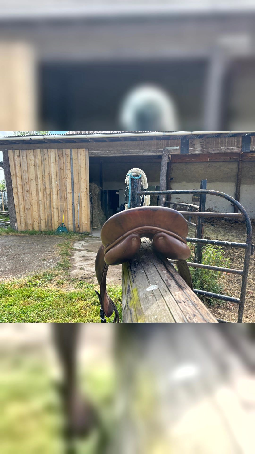 Selle de dressage, média 5