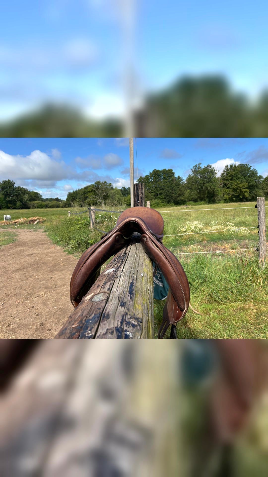Selle de dressage, média 4
