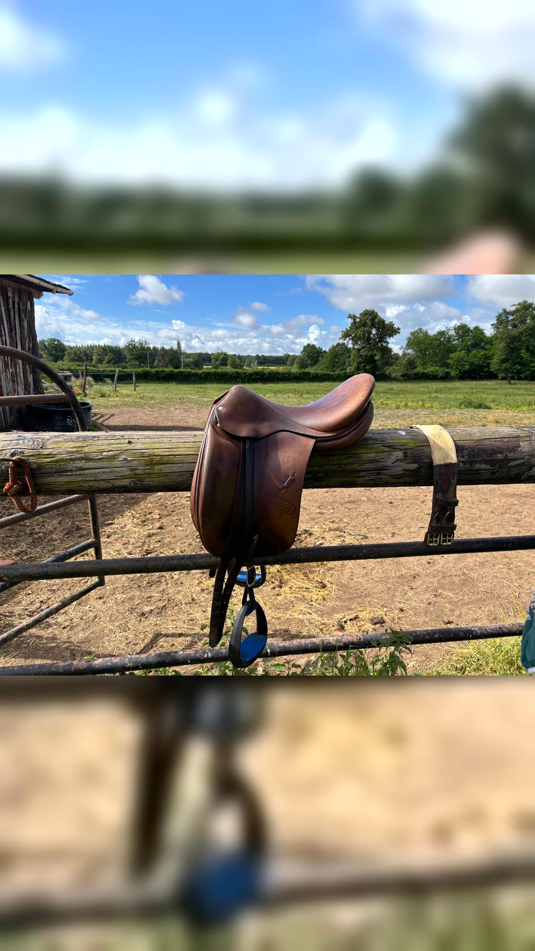 Selle de dressage, média 3