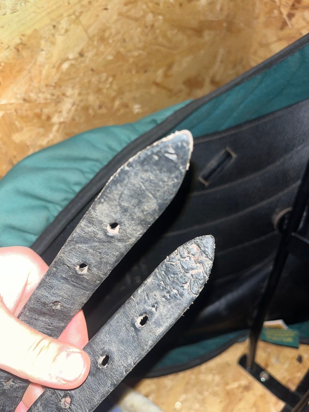 Selle de dressage, média 5