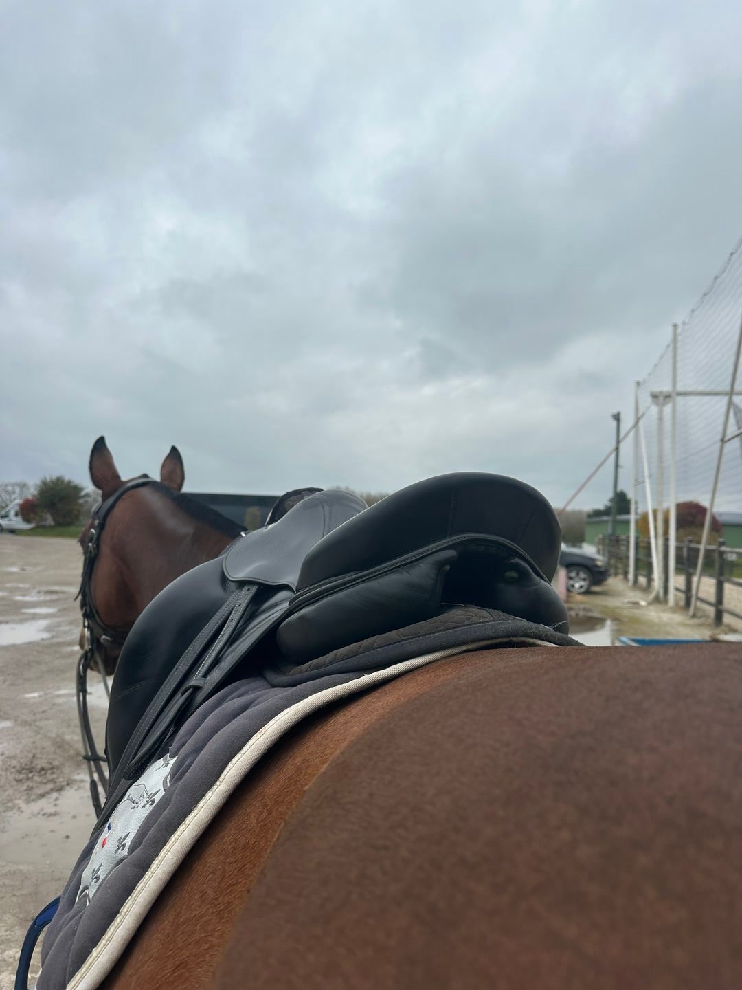 Selle de dressage, média 3