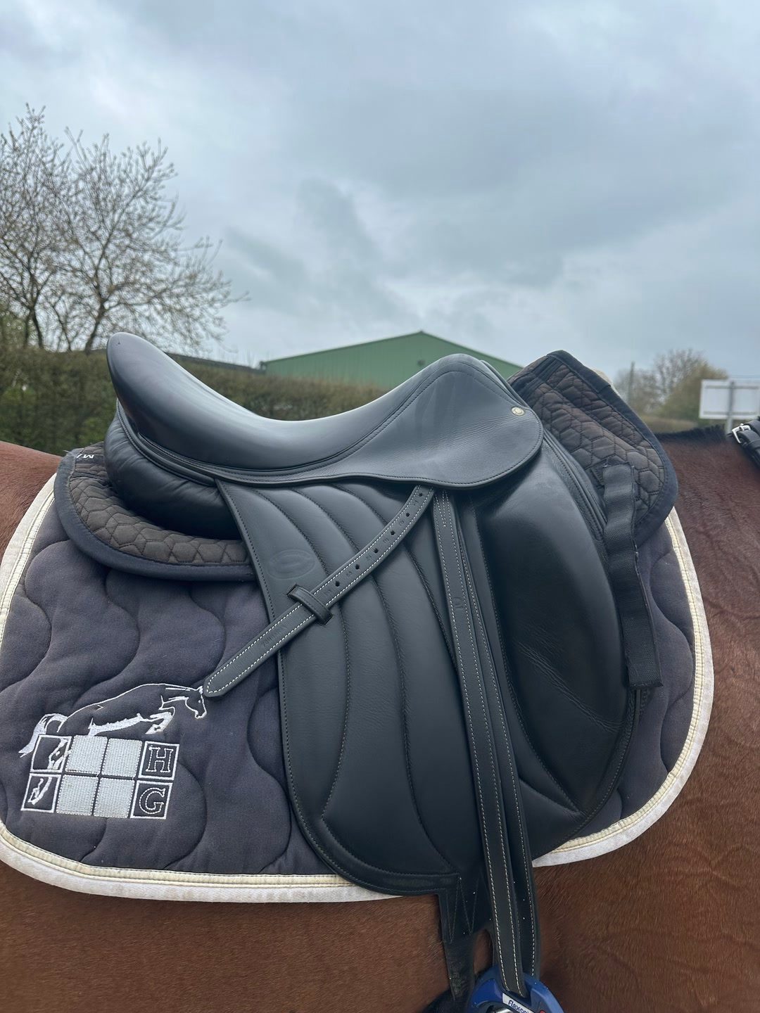 Selle de dressage, média 2