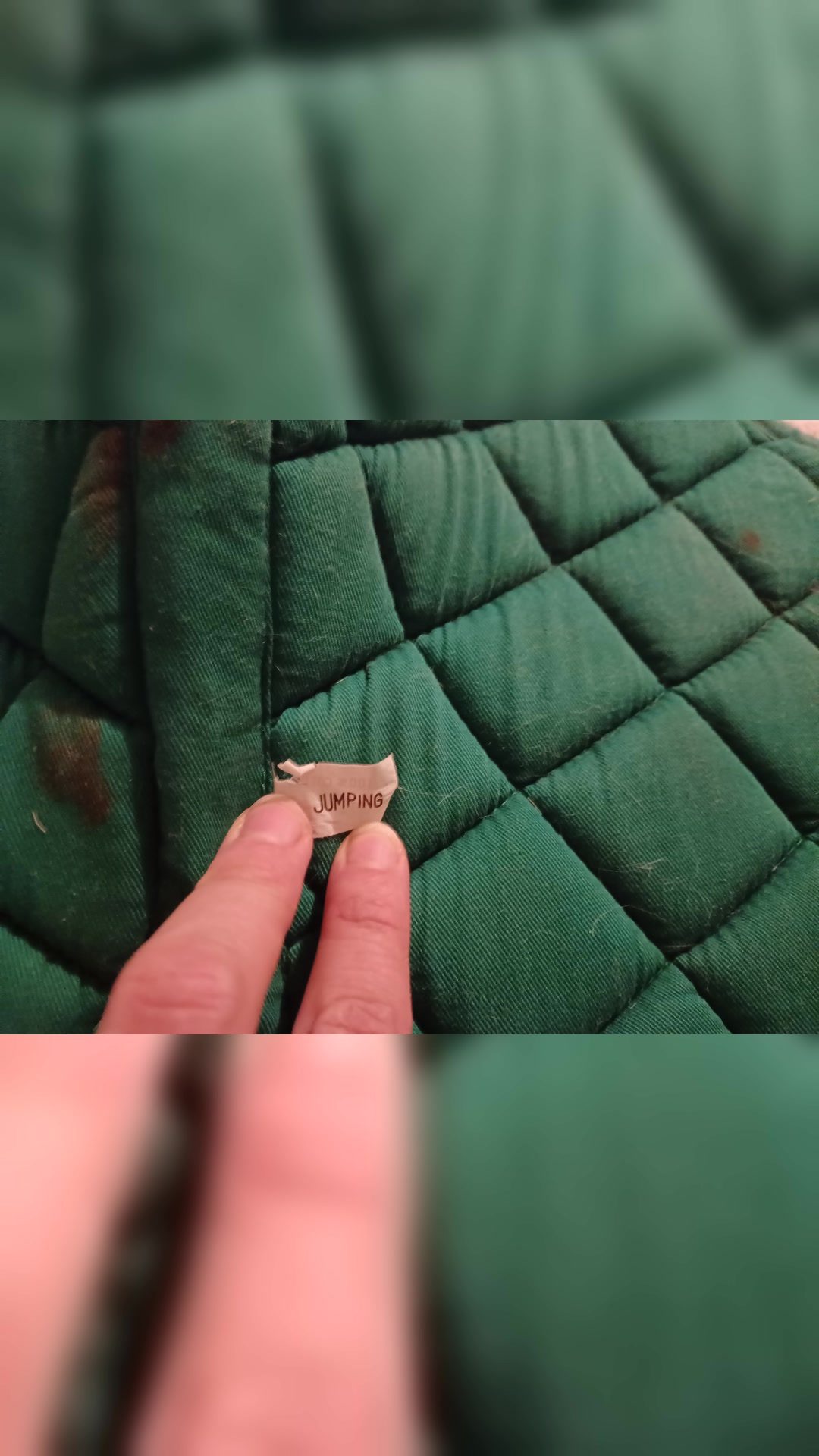 Tapis, média 2