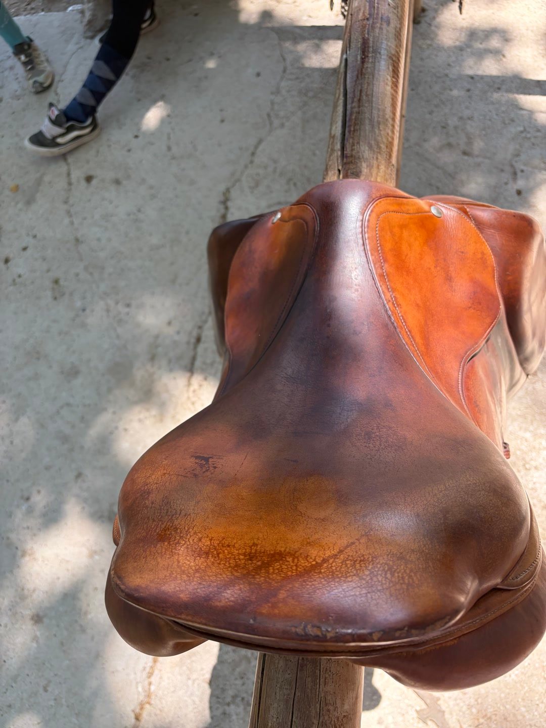 Selle Forestier, média 4