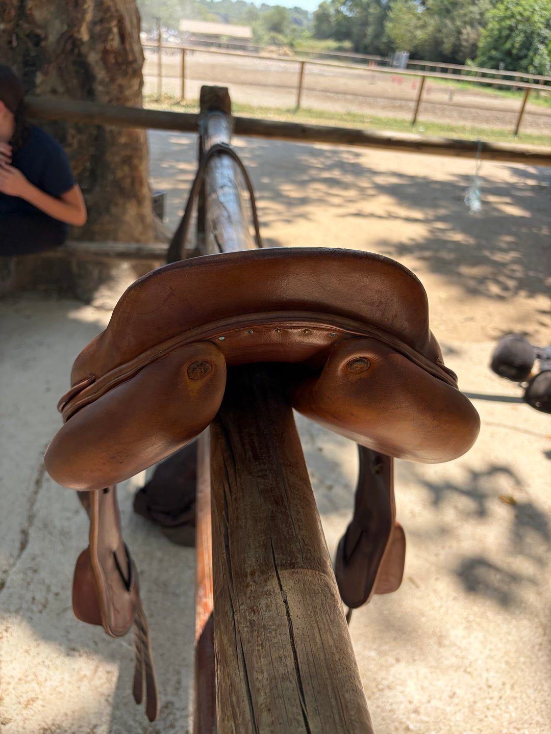 Selle Forestier, média 3