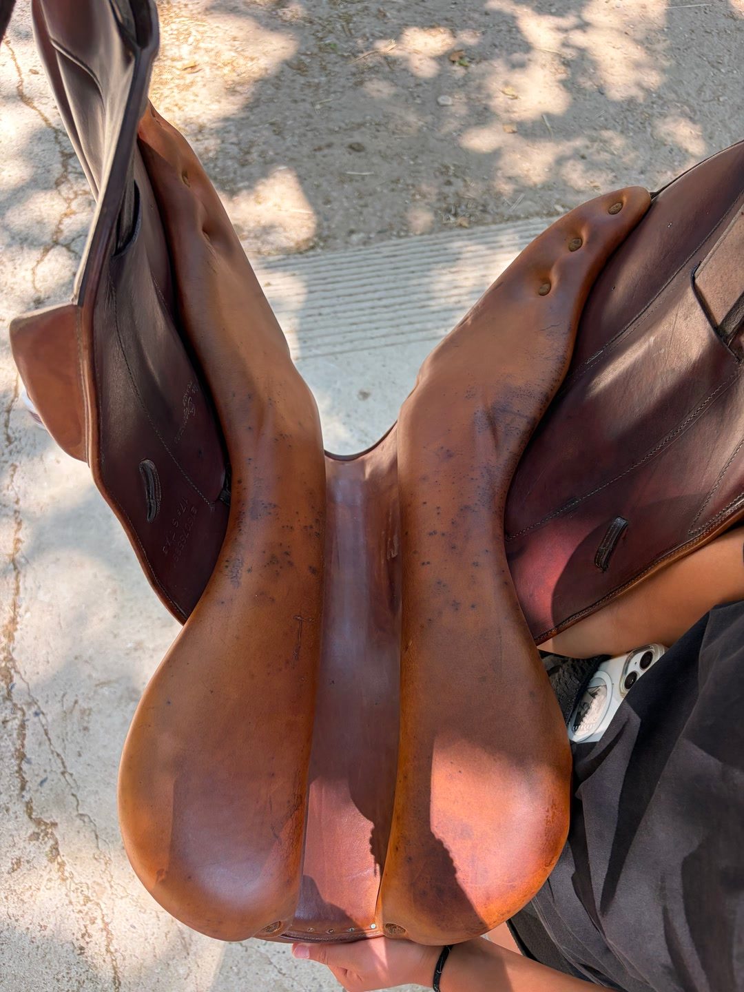 Selle Forestier, média 5