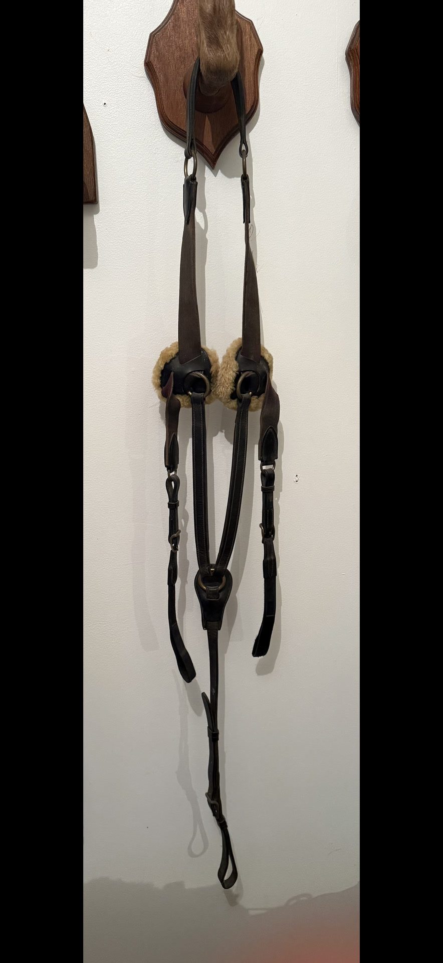 Collier de chasse équipe, média 2