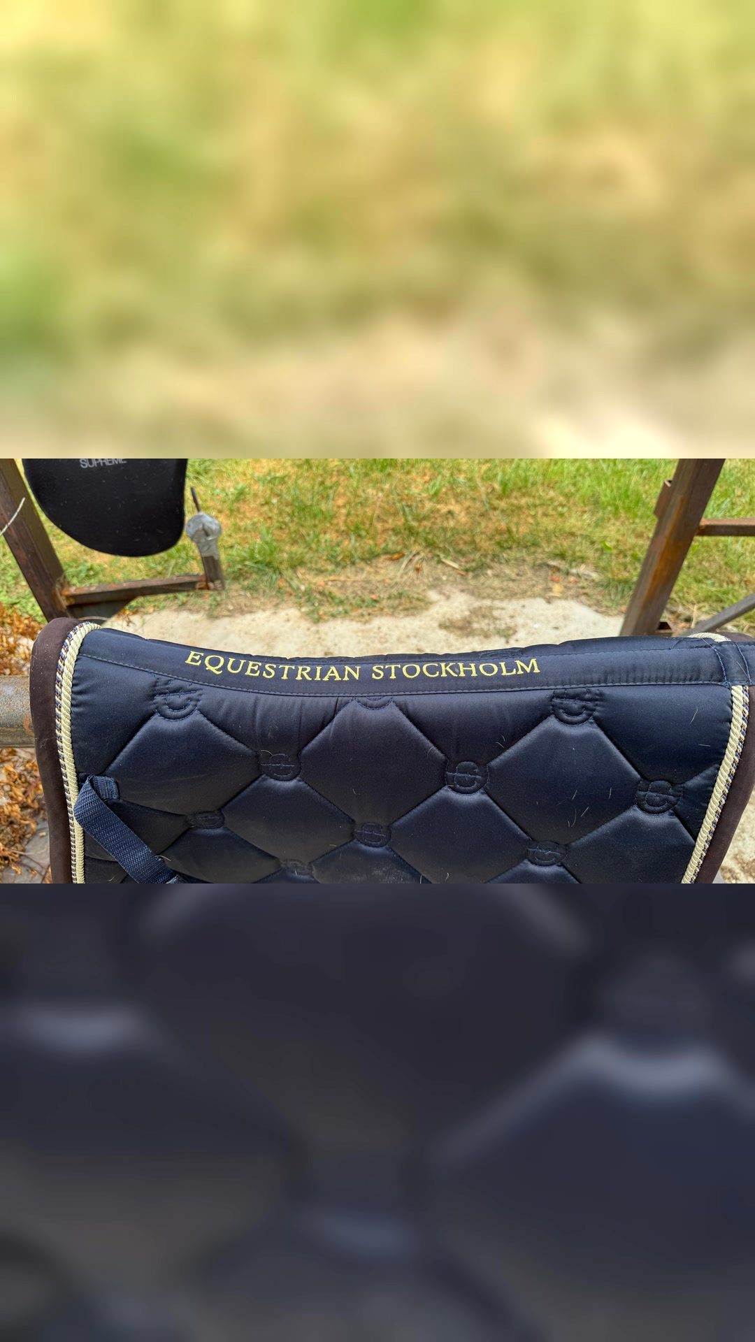 Tapis Equestrian Stockholm, média 2