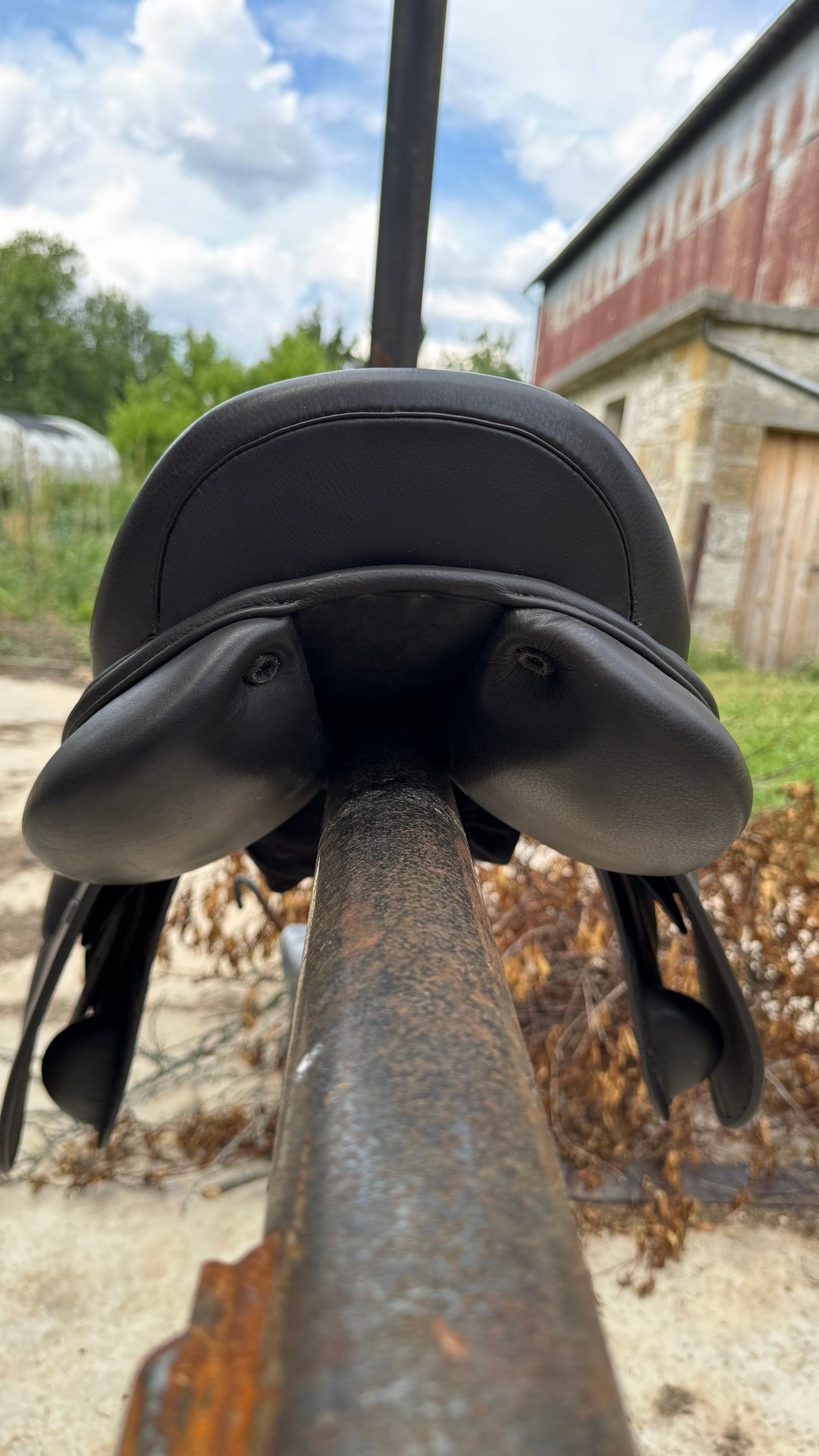Selle neuve, média 5