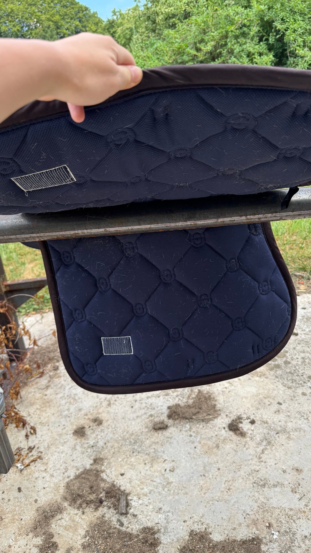 Tapis Equestrian Stockholm, média 5