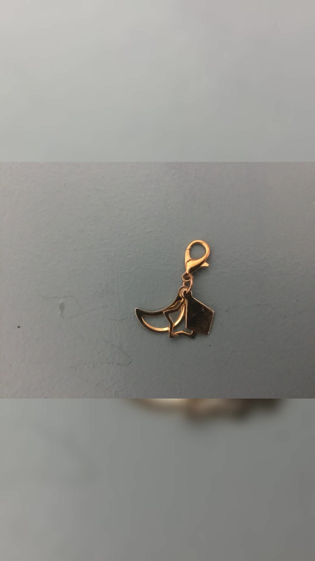 Charms pour filet, licol, bonnet…, média 5
