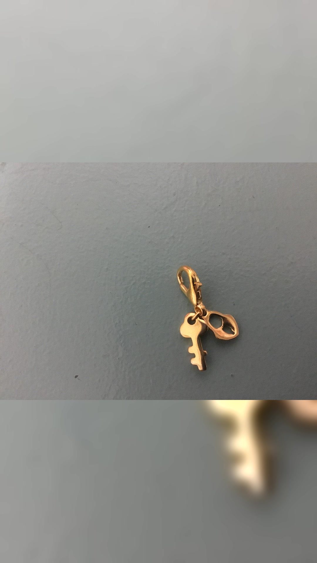 Charms pour filet, licol, bonnet…, média 3