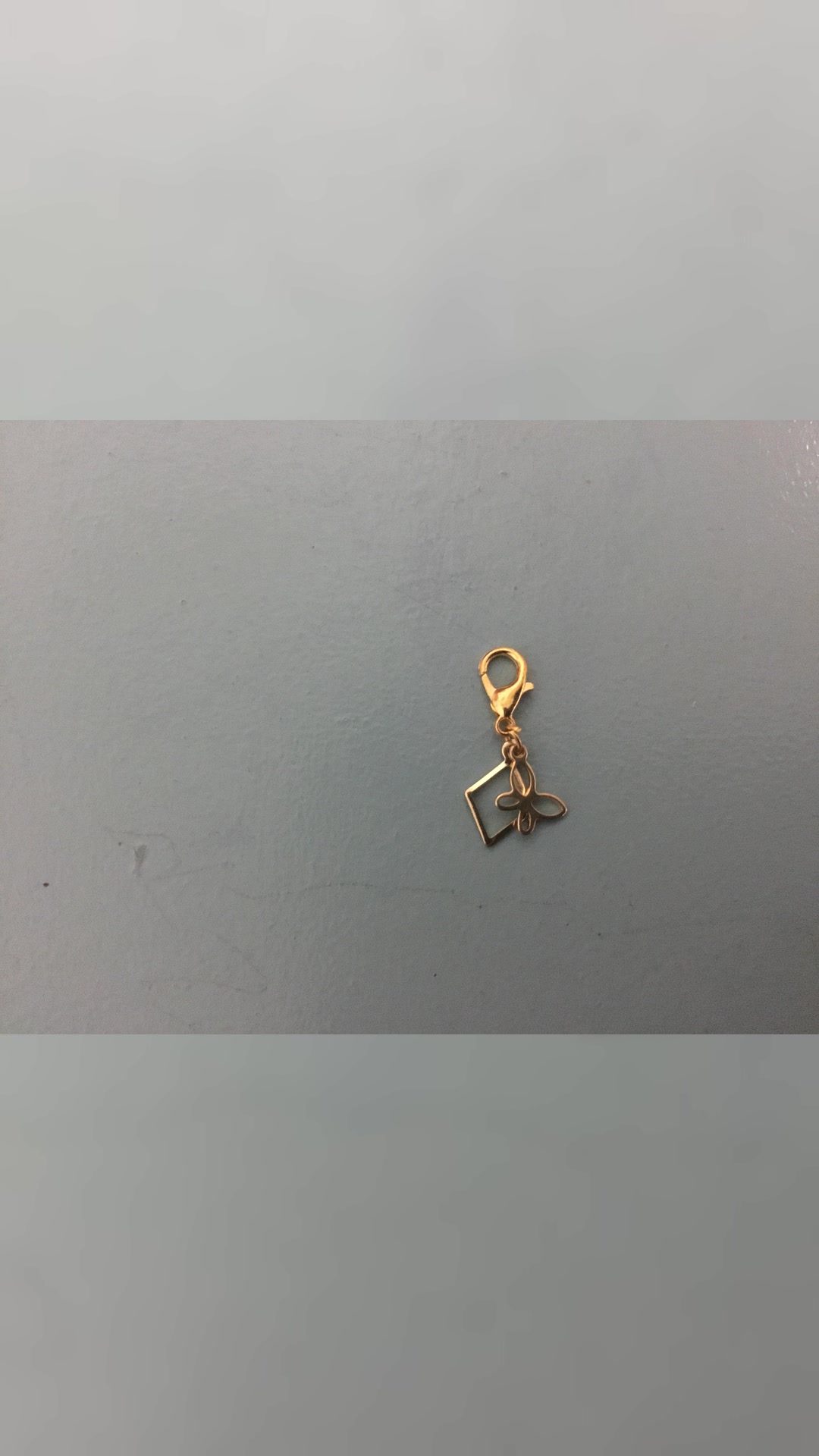 Charms pour filet, licol, bonnet…, média 2