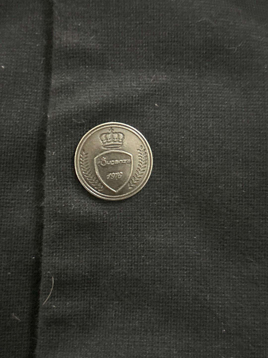 Veste de concours Fouganza, média 3