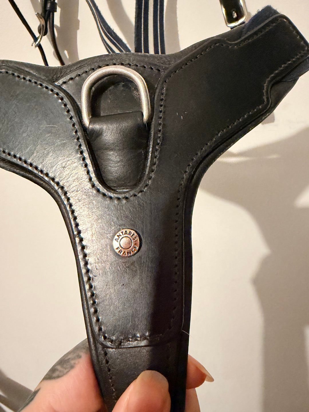 Collier de chasse noir antares élastique avec pont, média 2