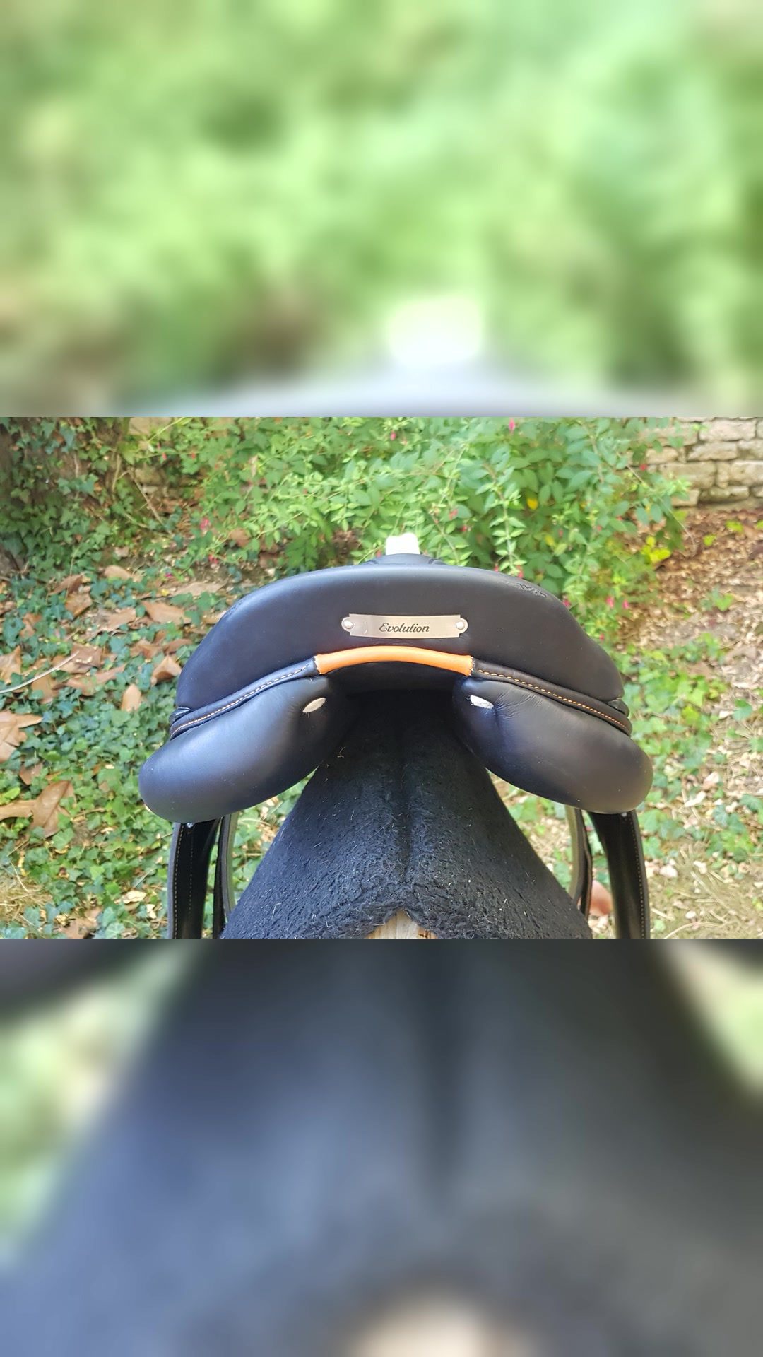Selle  cso Antarès évolution, média 8