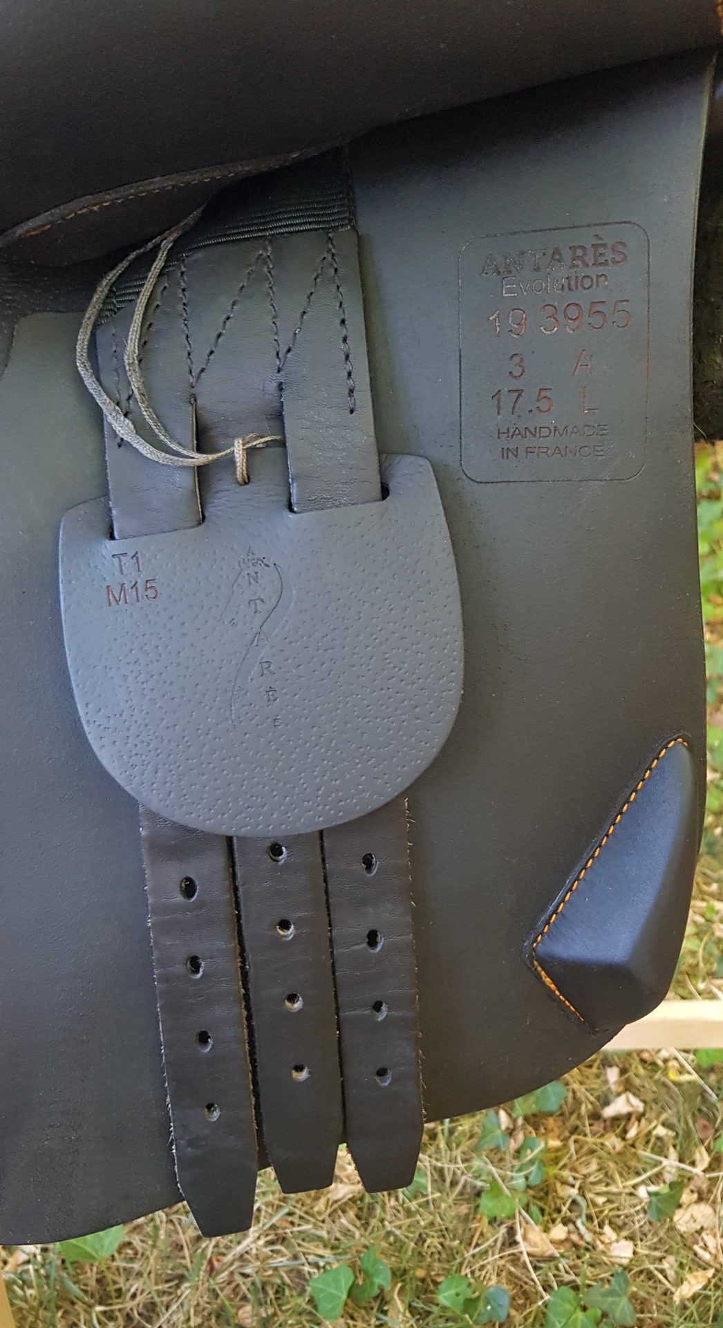 Selle  cso Antarès évolution, média 6