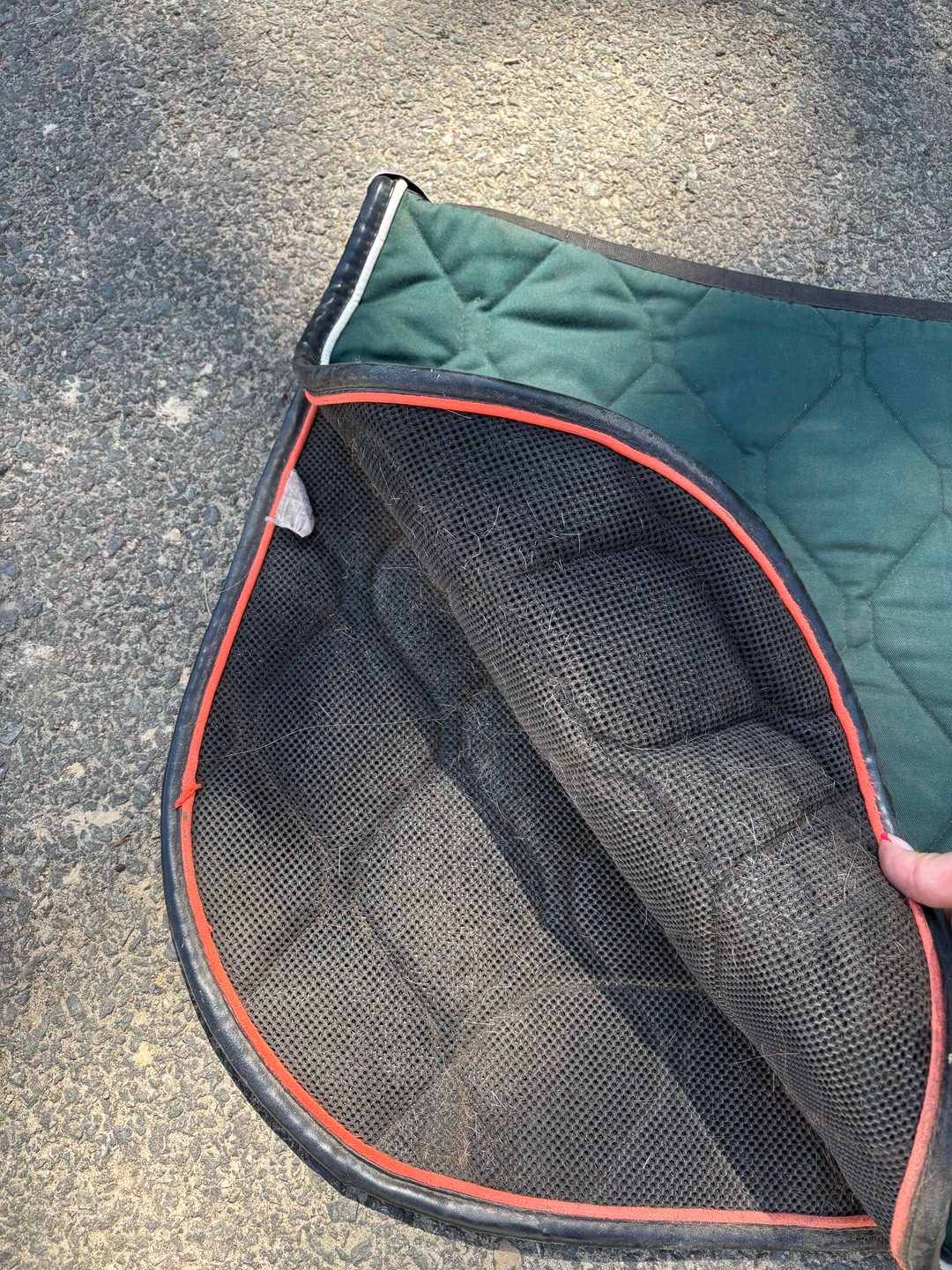 Tapis GEM vert sapin, média 3