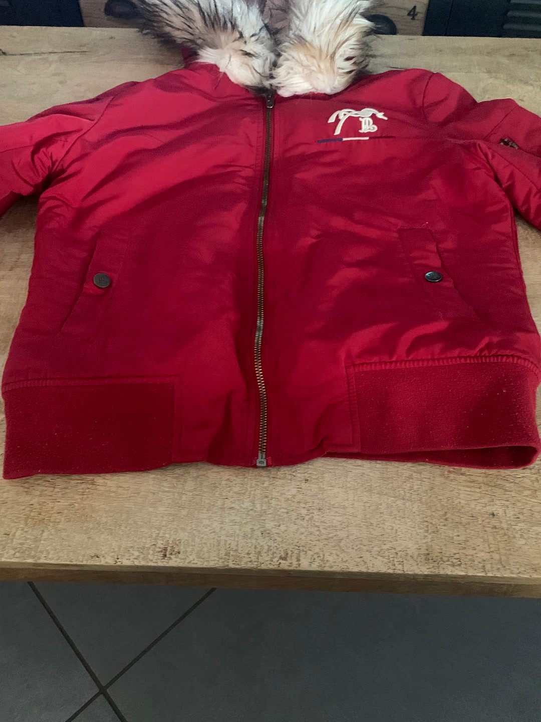 Manteau Penelope, média 4