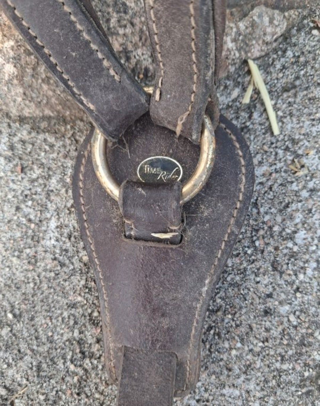 Collier de chasse, média 3