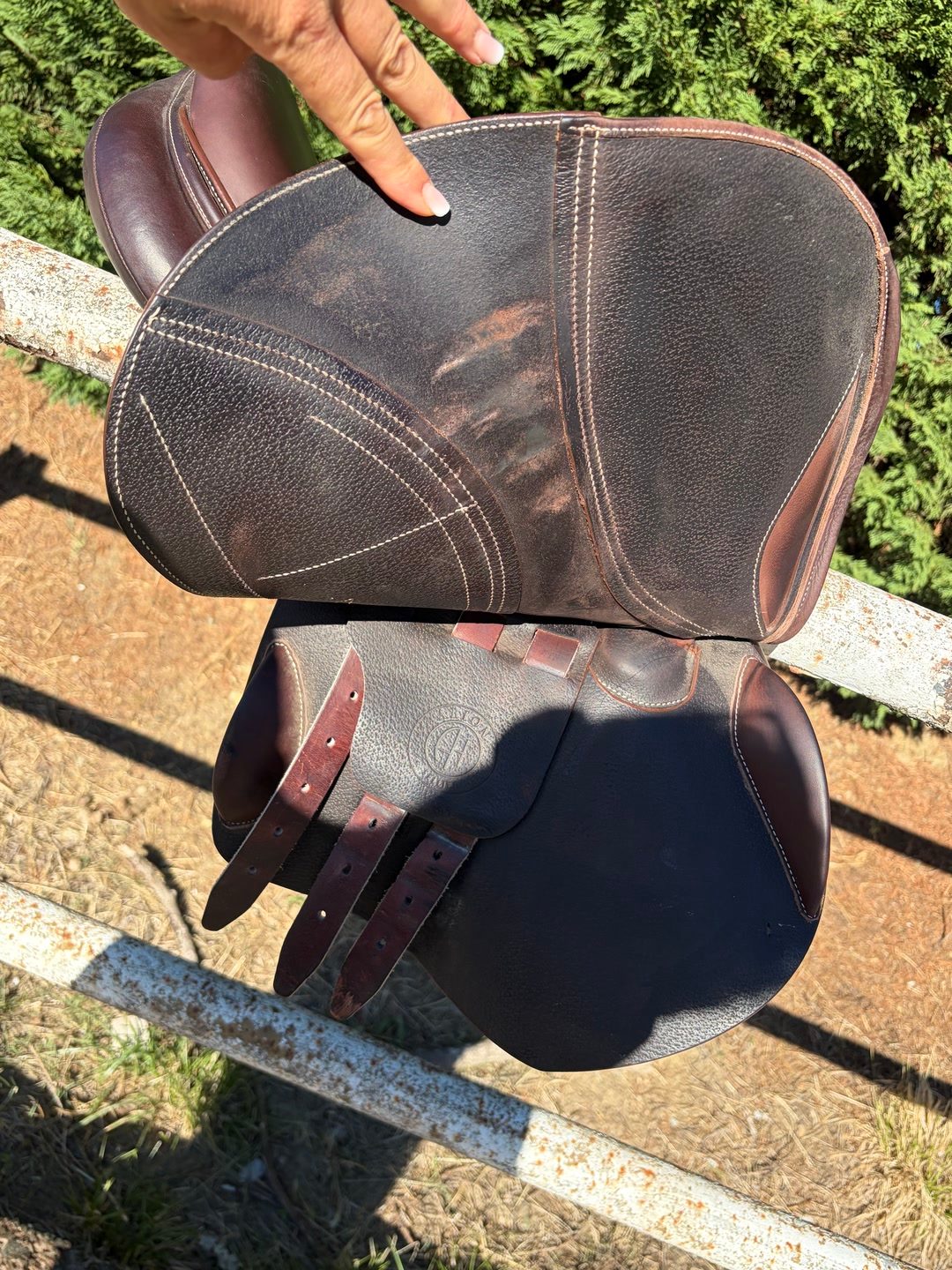 Selle arion, média 3