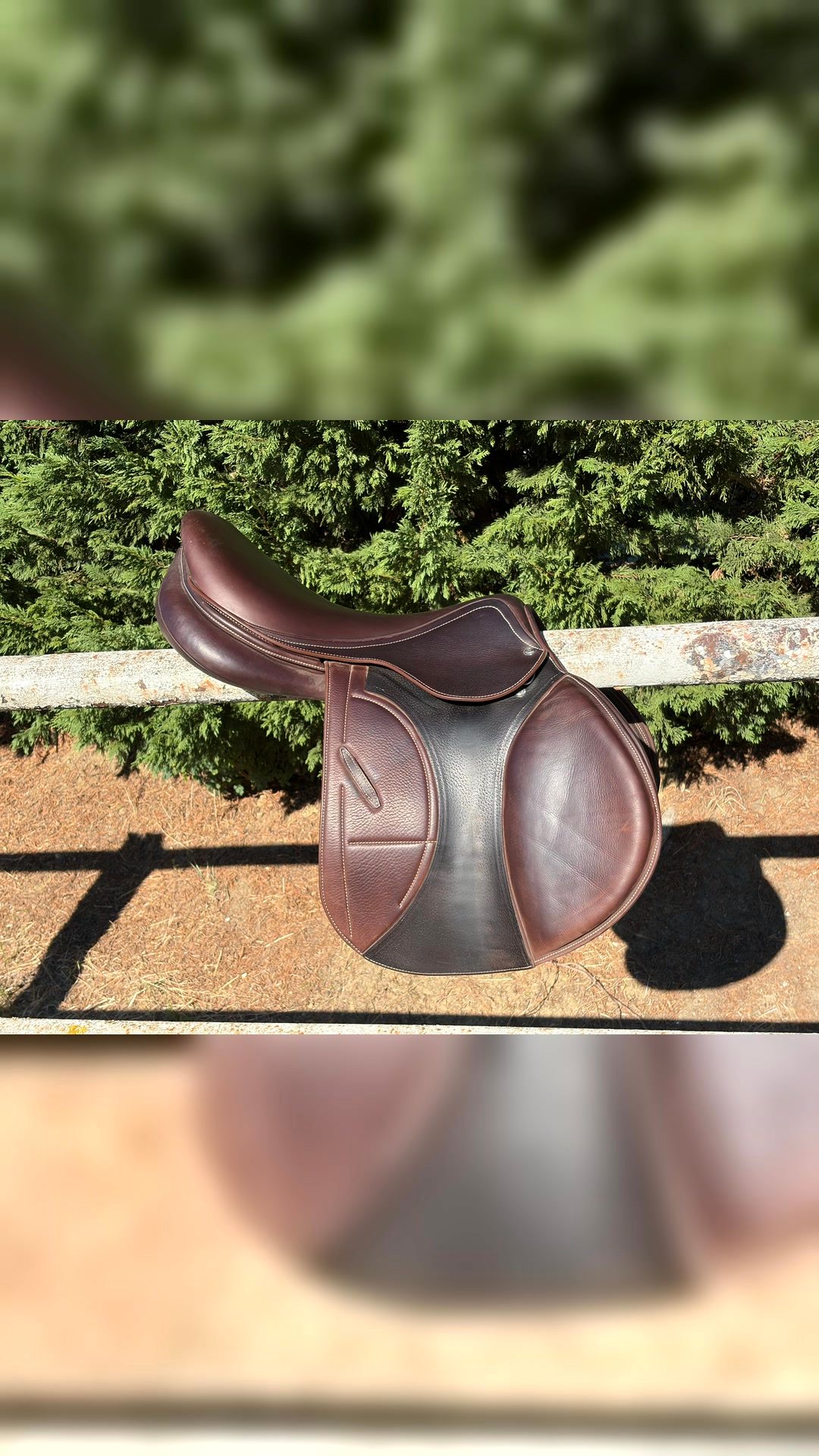 Selle arion, média 2