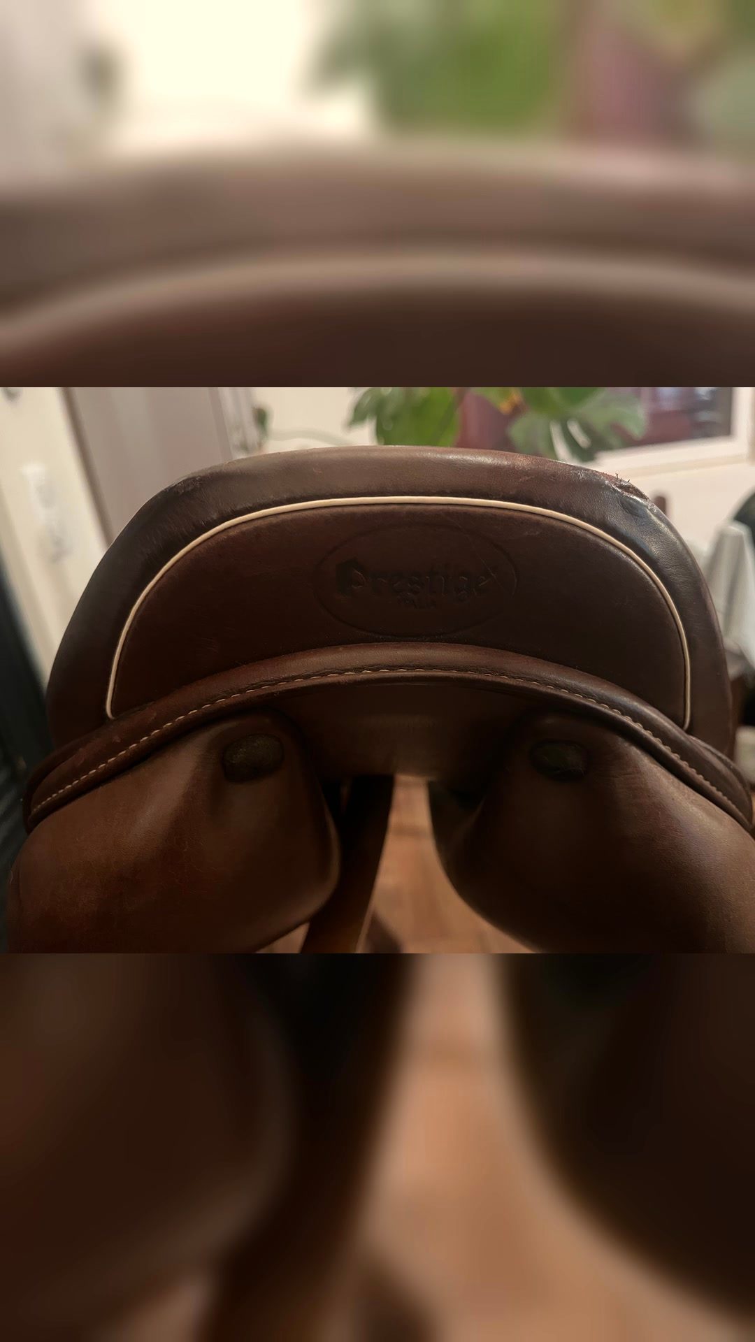 Selle Prestige, média 4