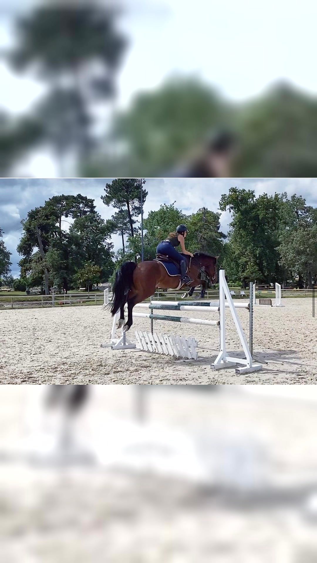 Monitrice d’équitation éthologique, média 7