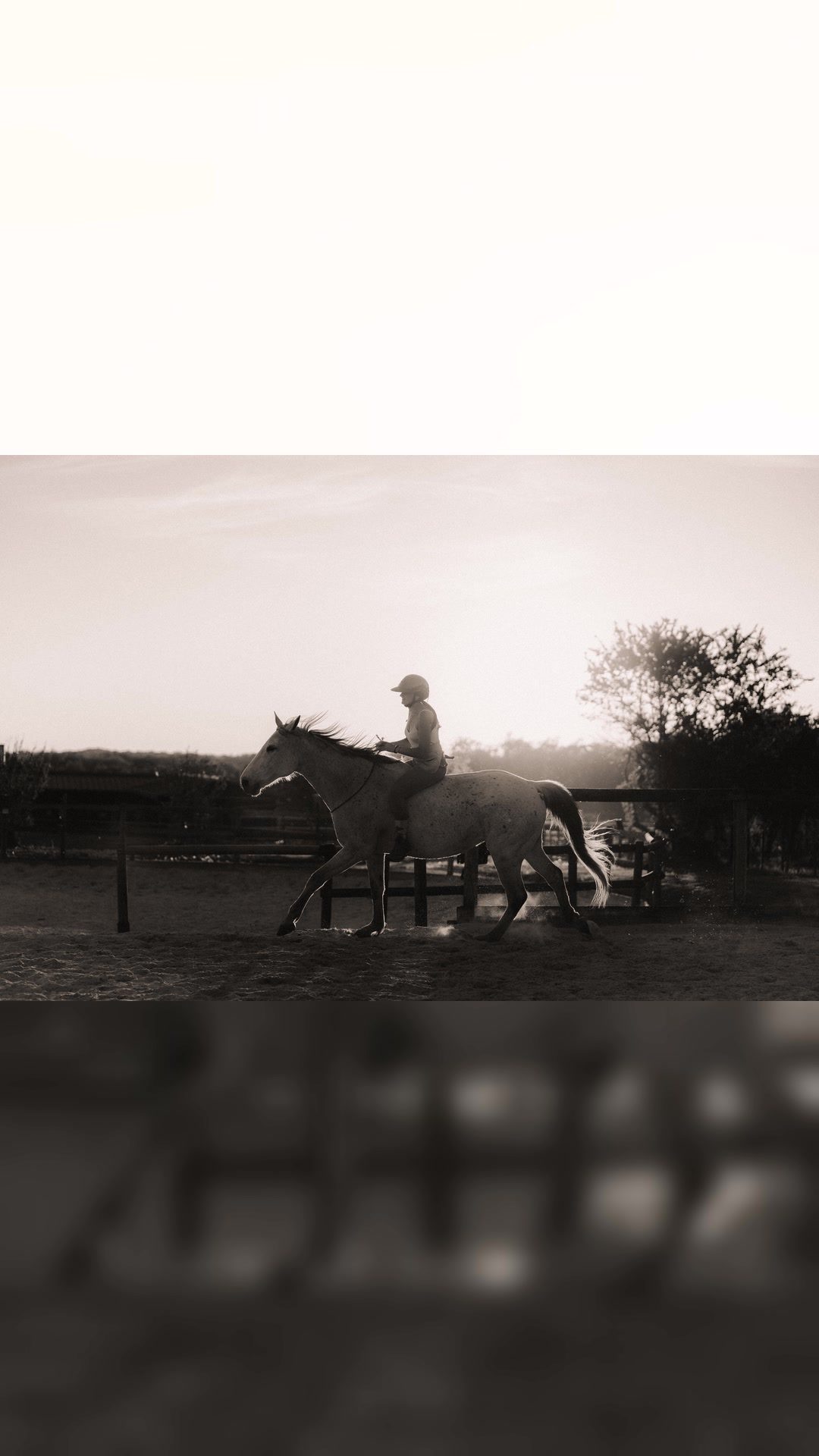 Monitrice d’équitation éthologique, média 4