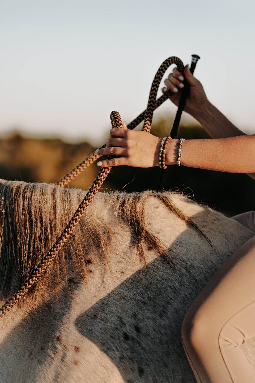 Monitrice d’équitation éthologique, média 3