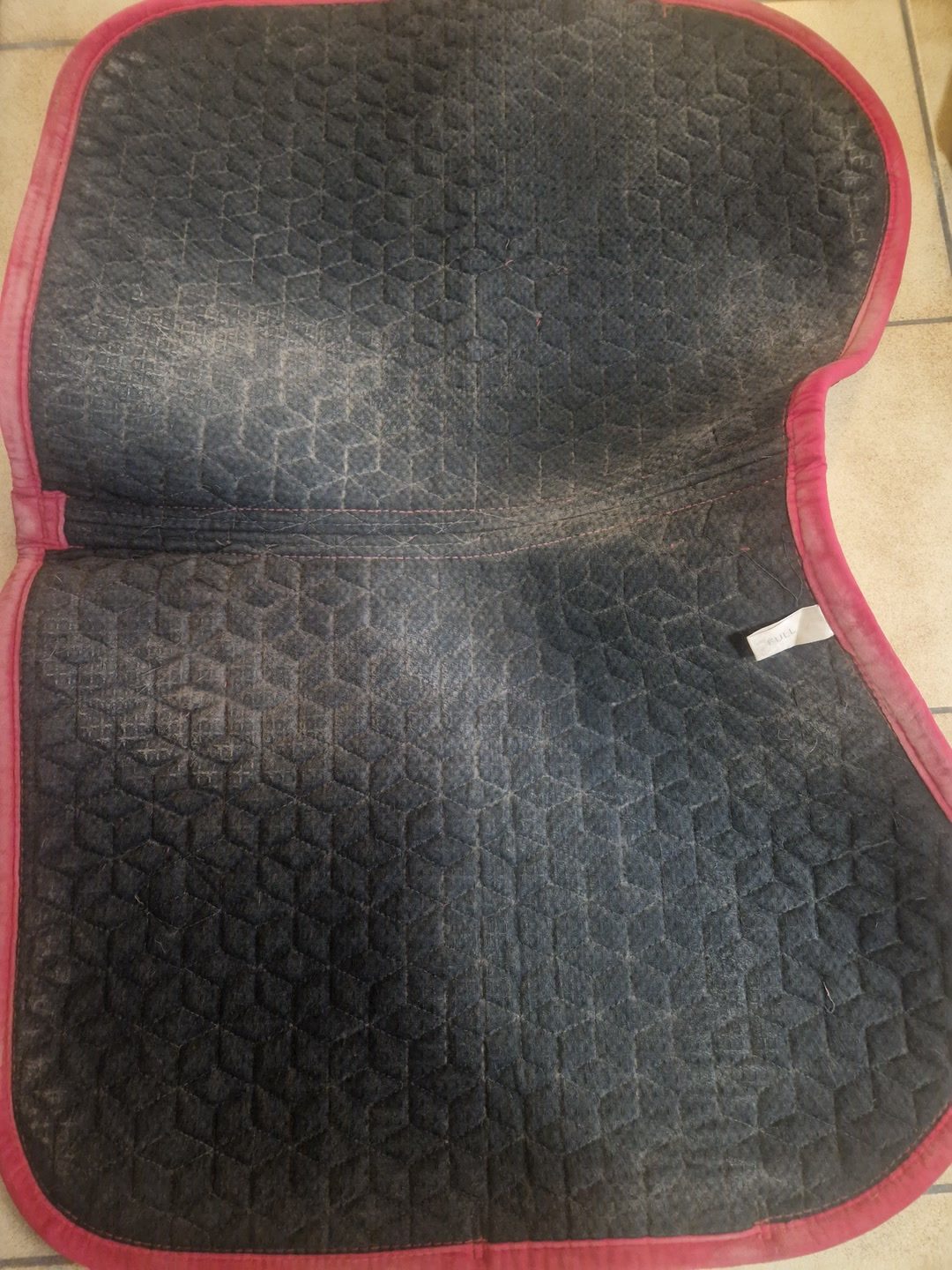 Tapis kentucky velvet rouge jump, média 3