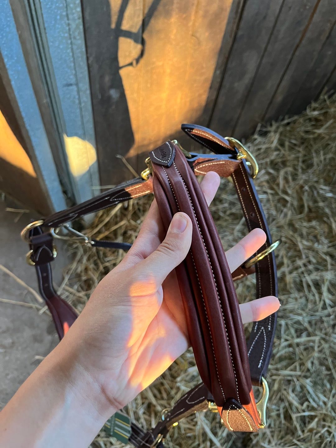 Licol en cuir devoucoux havane V2 neuf, média 7