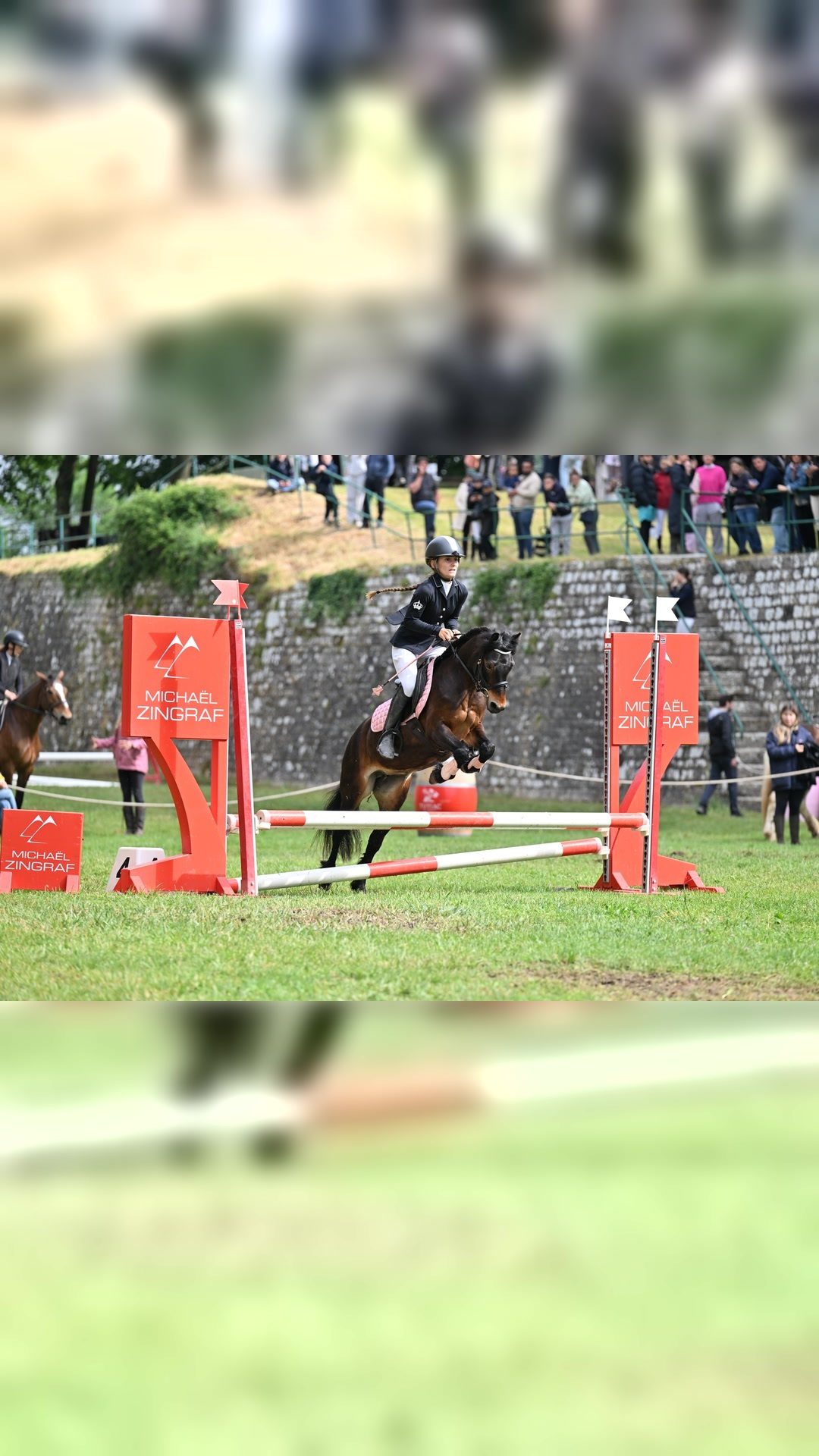 Coaching / Travail du cheval, média 9