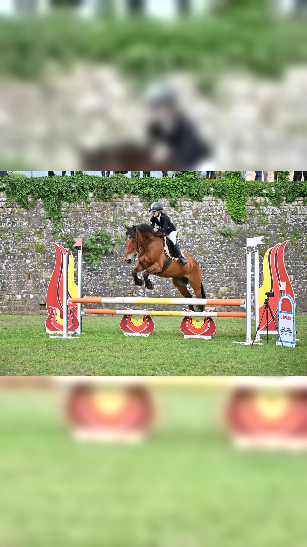 Coaching / Travail du cheval, média 8