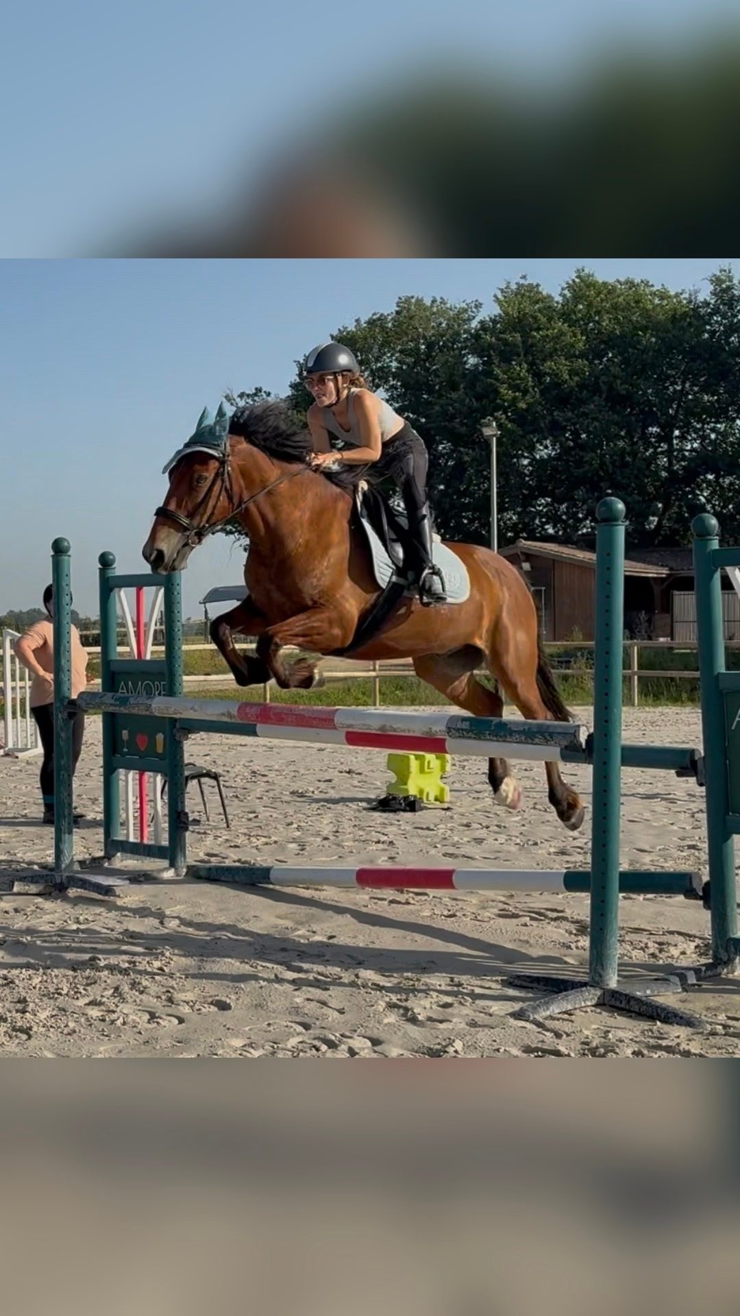 Coaching / Travail du cheval, média 10