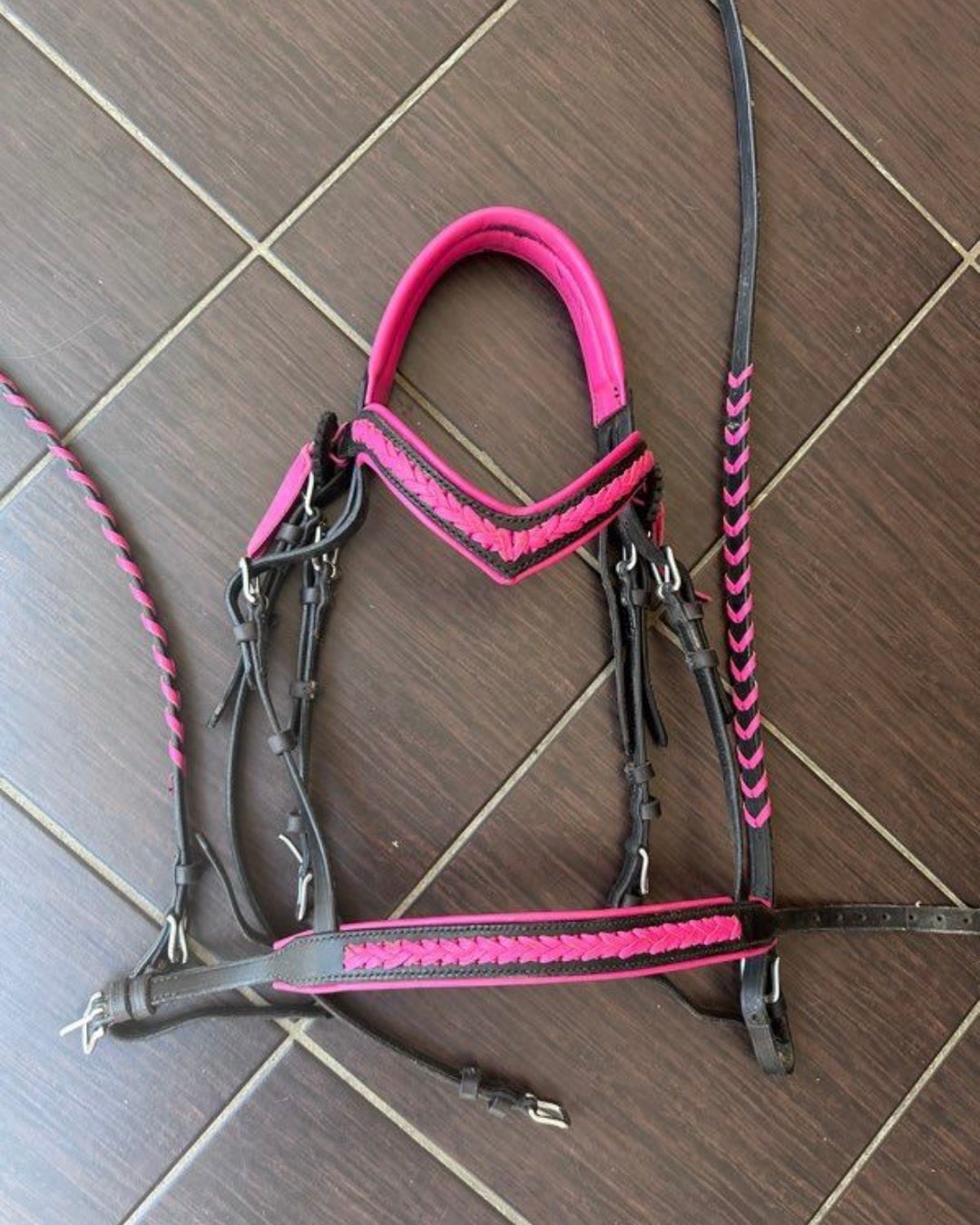 Bridon  poney  rose et noir, média 3