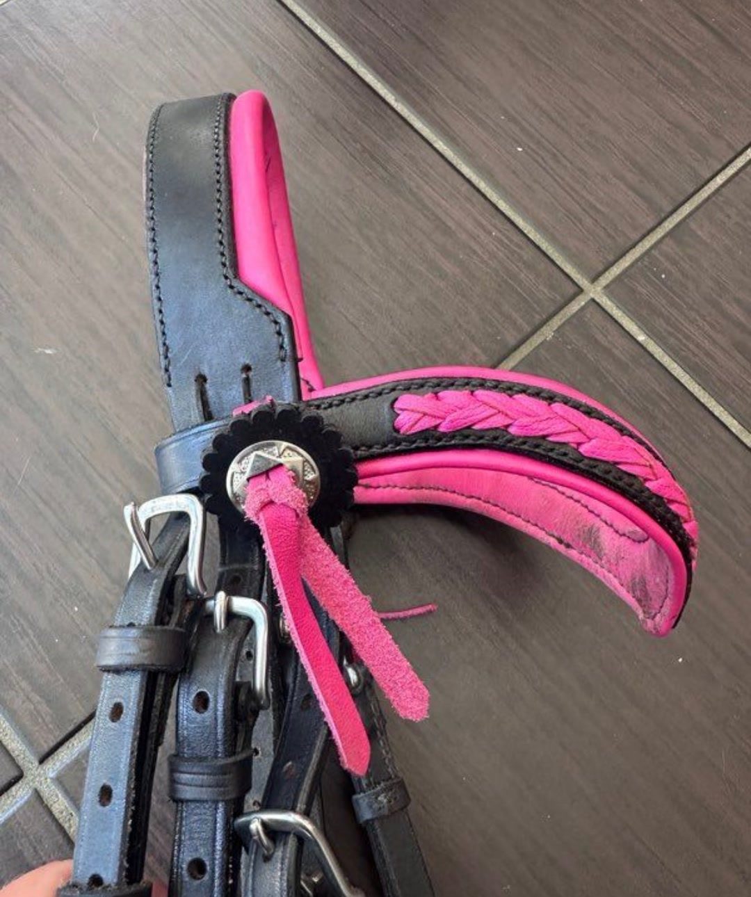 Bridon  poney  rose et noir, média 2