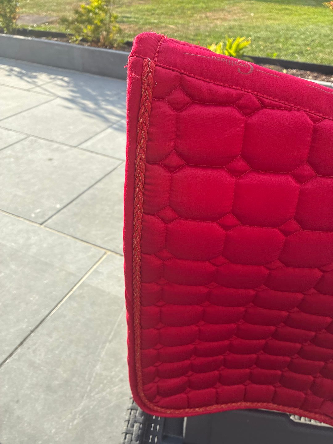 Tapis rouge covalliero, média 4