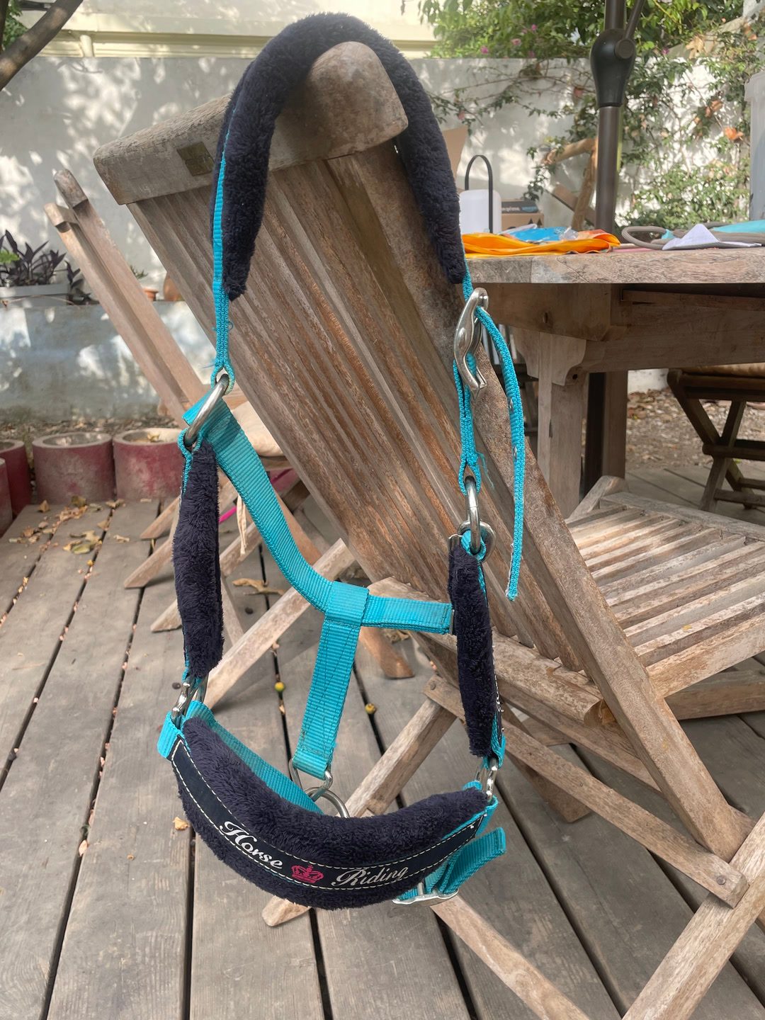 Licole bleu taille CHEVAL, média 2