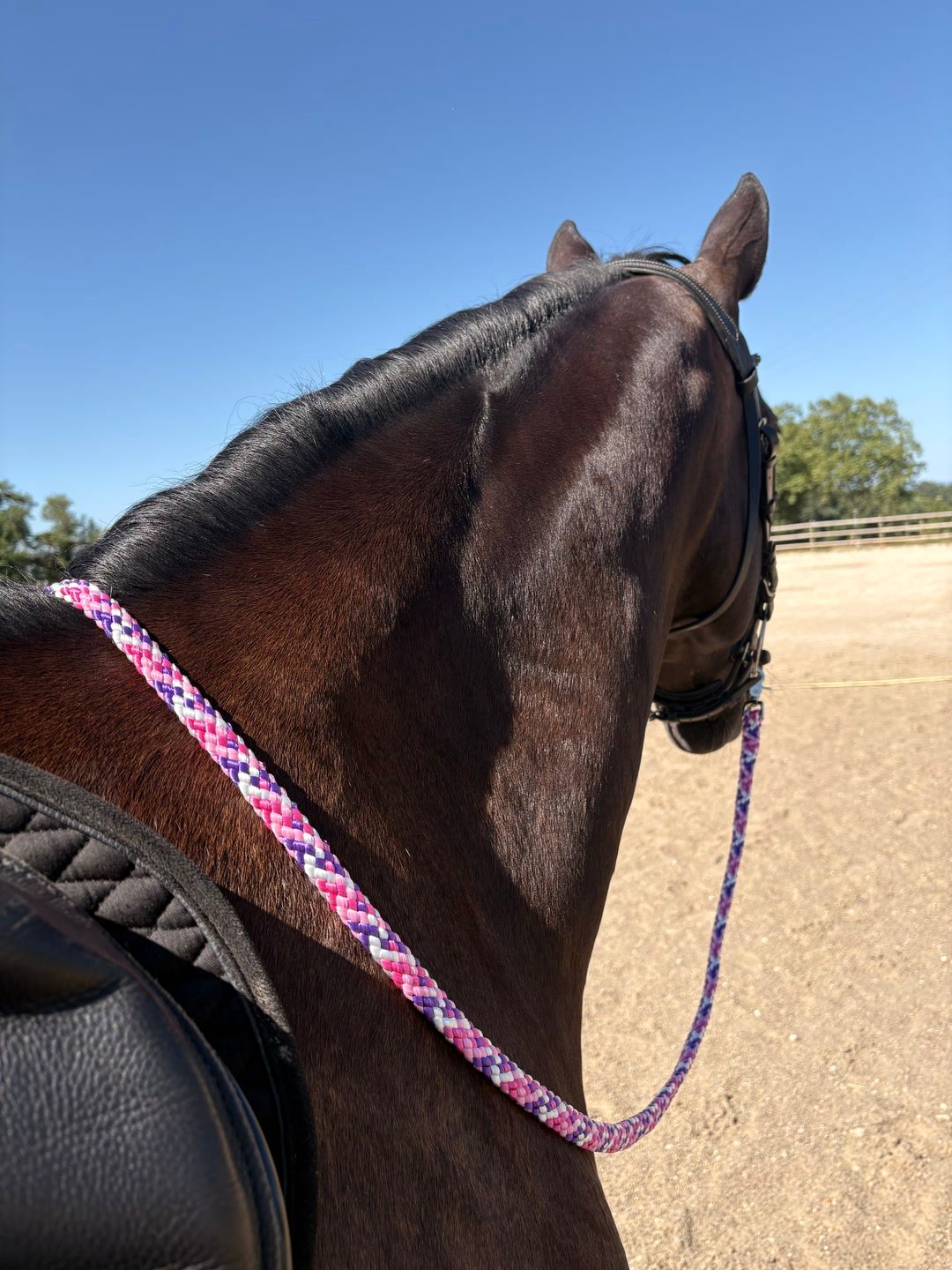 Rênes corde plate / Neuf / Taille cheval, média 4