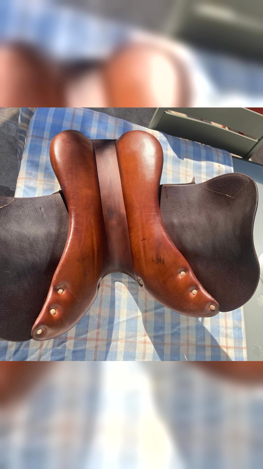 Selle Spooner by Antares, média 4
