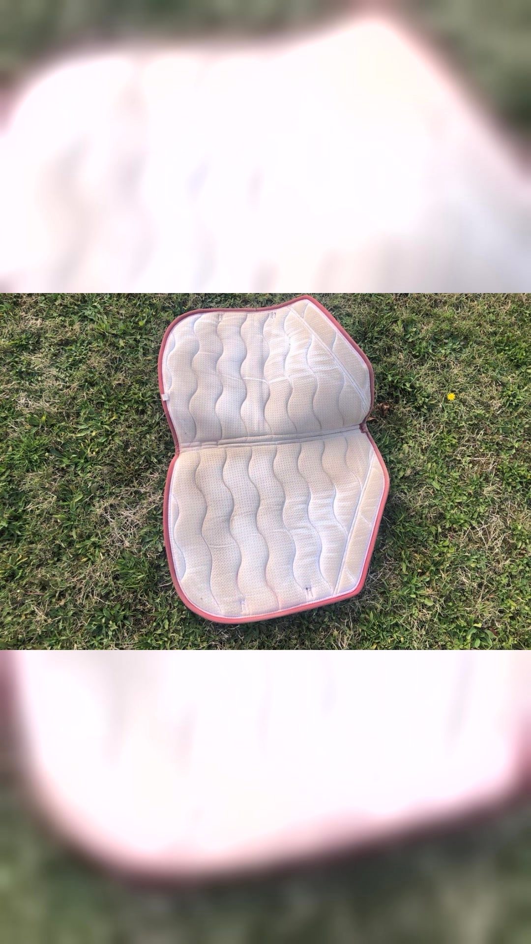 Tapis de selle Equithème, média 3